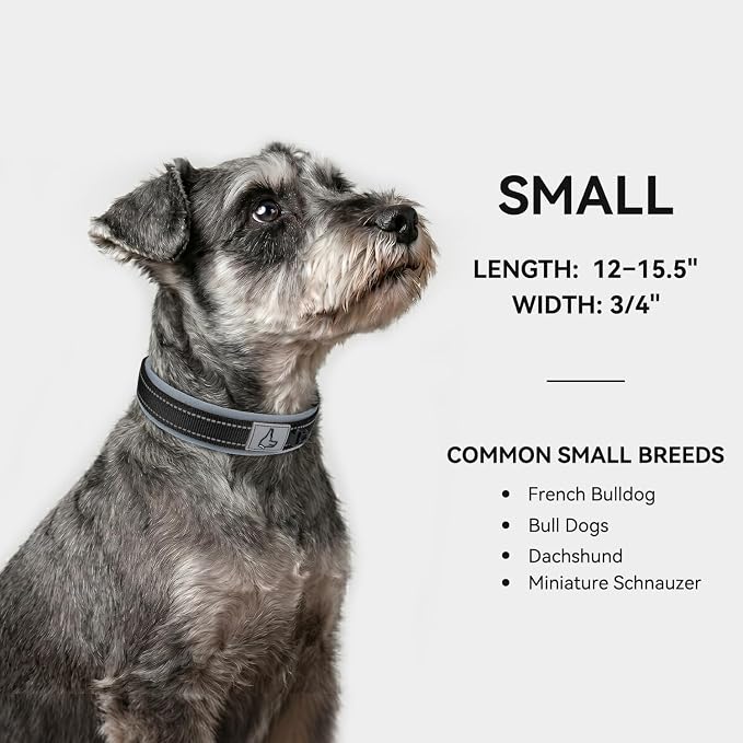 Joytale Reflective Dog Collar for Small Dogs with Wide Padding, Black | Soft Cushion Reduce Neck Strain, Night Safety Walking, Metal Buckle and Adjustable Eyelets, Separated Dog ID Tag Ring - Image 5