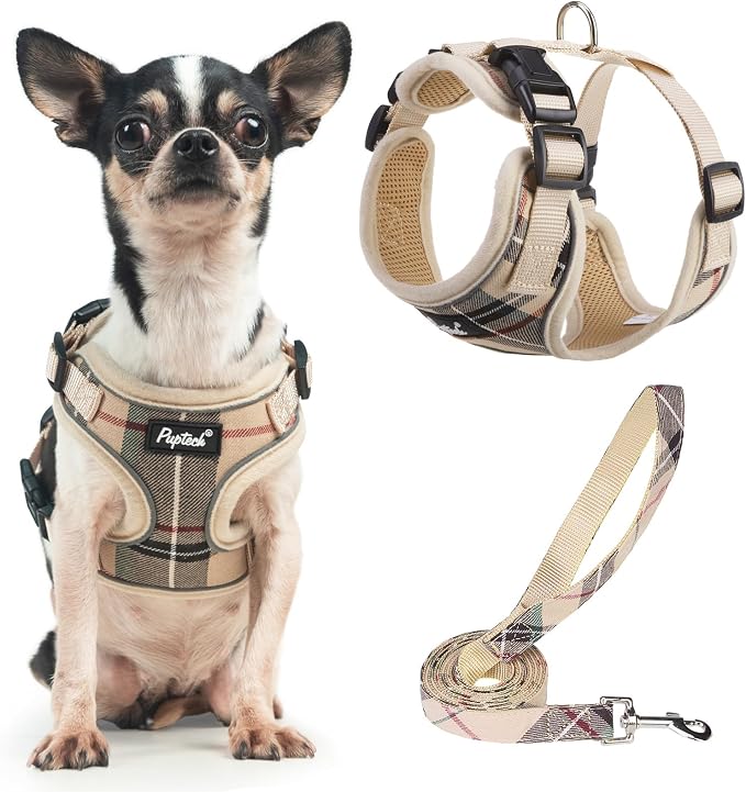 PUPTECK Small Dog Harness and Leash Set No Pull for XS XXS Sized Dogs Puppy | Escape Proof No Choke Pet Cat Adjustable Soft Padded Walking Vest by PUPTECK
