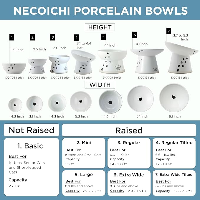 Necoichi Ceramic Elevated Cat Food Bowl (Fuji, Regular Flat) - Image 5
