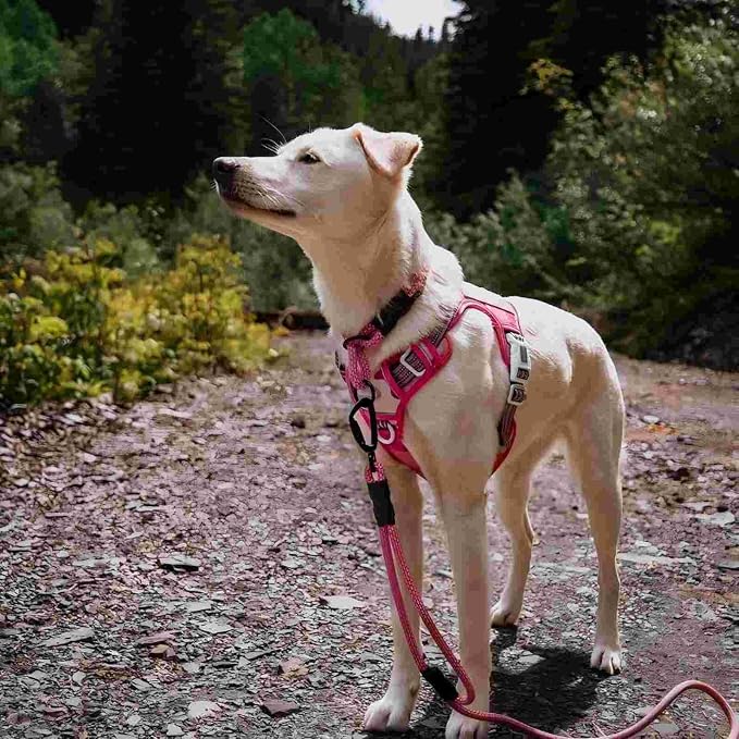 AUROTH Tactical Dog Harness for Small Medium Large Dogs No Pull Adjustable Pet Harness Reflective K9 Working Training Easy Control Pet Vest Military Service Dog Harnesses (XL, Pink Camo) | Easy Control Handle, Adjustable, Reflective, Military K9, for D... - Image 6