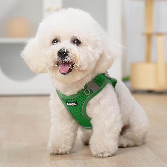 AIITLE Small Dog Harness and Leash Set, Step-in Puppy Pet Vest, Green XS | Light, Soft, Breathable Air Mesh, Escape-Proof, Easy on and Remove with Hook & Loop, Secure Reflective for Walking - Image 6