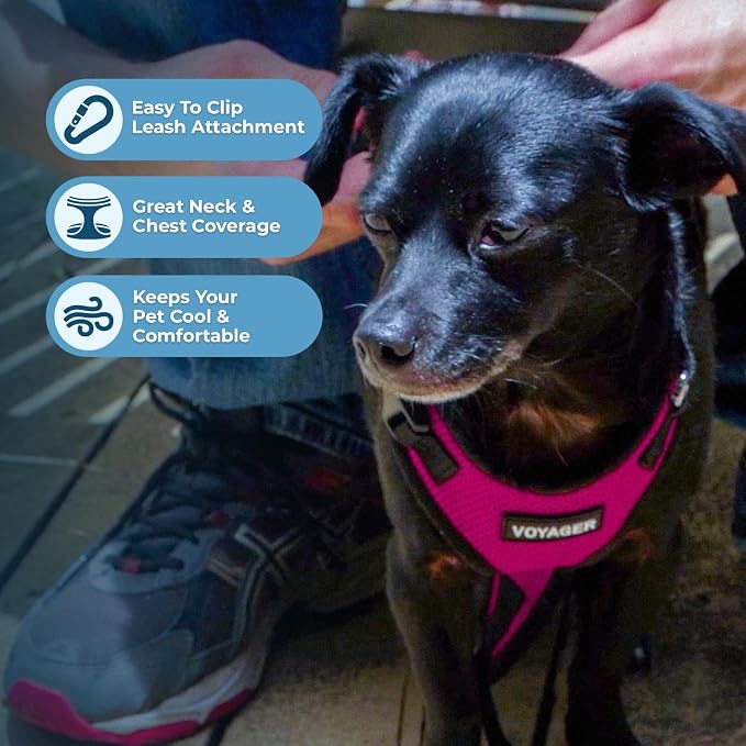 Voyager Step-in Lock Dog Harness - Fuchsia/Black Trim, Large | 20 - 25" in Chest, Adjustable, Breathable Air Mesh, Lightweight for Daily Walks, Strong Clips, Heavy Duty D-Ring - Image 3
