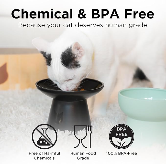 Necoichi BPA-Free Plastic Elevated Cat Water Bowls, 2-Pack (Ocean Mist) - Image 7