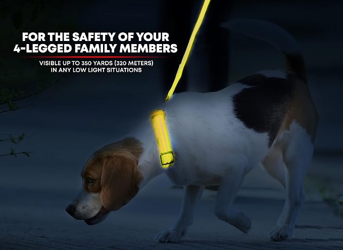 ILLUMISEEN LED Dog Collar USB Rechargeable - Bright & High Visibility Lighted Glow Collar for Pet Night Walking - Weatherproof, in 6 Colors & 6 Sizes (Yellow XX-Small) - Image 2