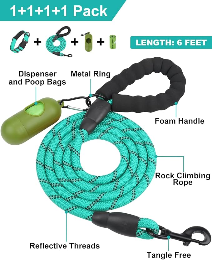 Dynmeow Reflective Dog Collar and Leash Set for Medium Dogs, Teal | Soft Neoprene Padded, 6FT Climbing Rope, Ideal for Daily Outdoor Walking or Indoor Wearing, Night Visible for Safety - Image 3