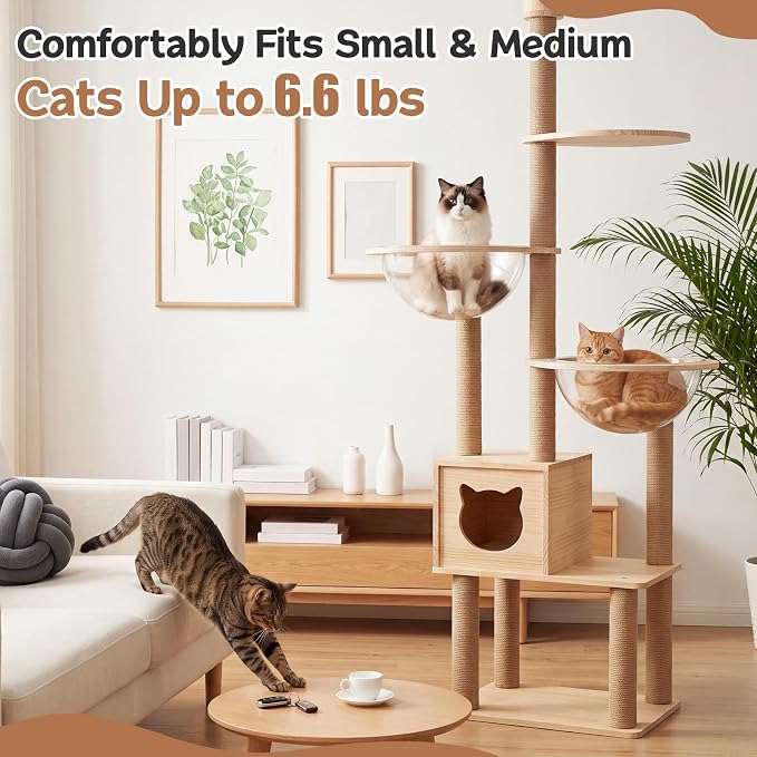 Yalikop 3 Pcs Acrylic Dome Cat Bubble, 12.6" Space Transparent Capsule Cover Clear Plastic Dome Bed Replacement for Cat Tree/Window Perch, DIY Nest Accessories for Hammock Tree Shelves Peek - Image 6