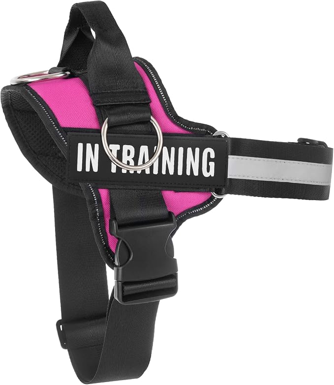 Essential Dog Harness, No Pull Pet Harness with 3 Side Rings for Leash Placement, No Choke, Reflective, Adjustable Pet Vest, Easy On-Off & Improved Control Handle, Training, Walking, Running by Tsikavo