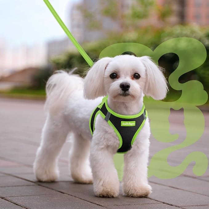 rabbitgoo Dog Harness Small Sized and Leash Set, Step in Soft Vest | Breathable Mesh, Easy Wear with Hook & Loop, Light and Reflective for Walking, Multi-colored, Black & Green, M - Image 8