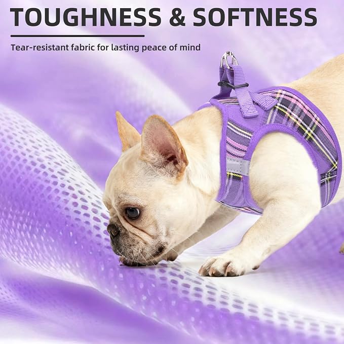 PUPTECK Dog Harness, Collar and Leash Set No Pull for Small Medium Sized | Plaid Puppy Step-in Escape Proof Reflective No Choke Pet Cat Adjustable Walking Vest - Image 6