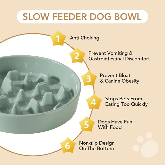 Havniva Dog Bowls Slow Feeder, Ceramic Slow Feeder Dog Bowls for Fast Eater | 3.2 Cups Dog Food Bowl Puzzle Feeder, Slow Feeding Bowls for Large Dogs, Non-Slip Base, Anti-Choking - Image 6