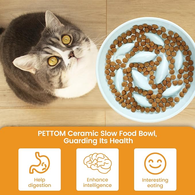 PETTOM Slow Feeder Cat Bowl with Stand, Ceramic Slow Eating Cat Bowl with Higher Edges Fish Pool Design Elevated Food Bowls for Dry and Wet Food Anti-Vomiting Puzzle Feeder for Healthy Eating Diet - Image 7