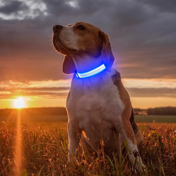 Illumifun Light Up Dog Collar, USB Rechargeable LED Dog Collar, Adjustable Reflective Lighted Pet Collar for Night Walking Camping (BlueⅢ, Large) - Image 5