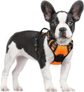 rabbitgoo Dog Harness, No Pull for Small Dogs with 2 Leash Clips, Pet Vest | No Choke with Handle, Adjustable Soft Padded, Reflective, Easy Control for Walking, Orange, Small by rabbitgoo