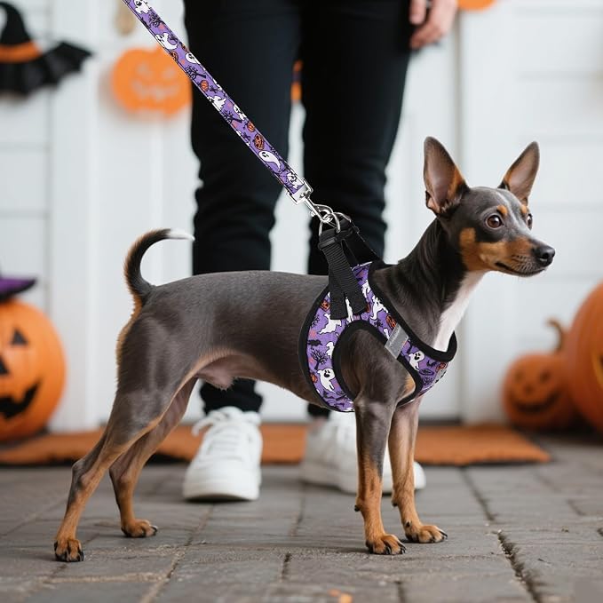 KOOLTAIL Halloween Dog Harness and Leash Set for Small Medium Dogs, Step in No Pull Soft Mesh Harness Comfort Padded Pet Vest, Adjustable Reflective Easy Walking Puppy Cats Harness Training, Ghost S - Image 7
