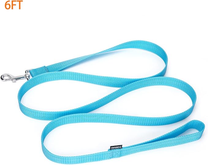 Strong Durable Nylon Dog Training Leash, 1 Inch Wide Traction Rope, 6 ft Long, for Small and Medium Dog (Mint Blue, 6 Feet) - Image 2