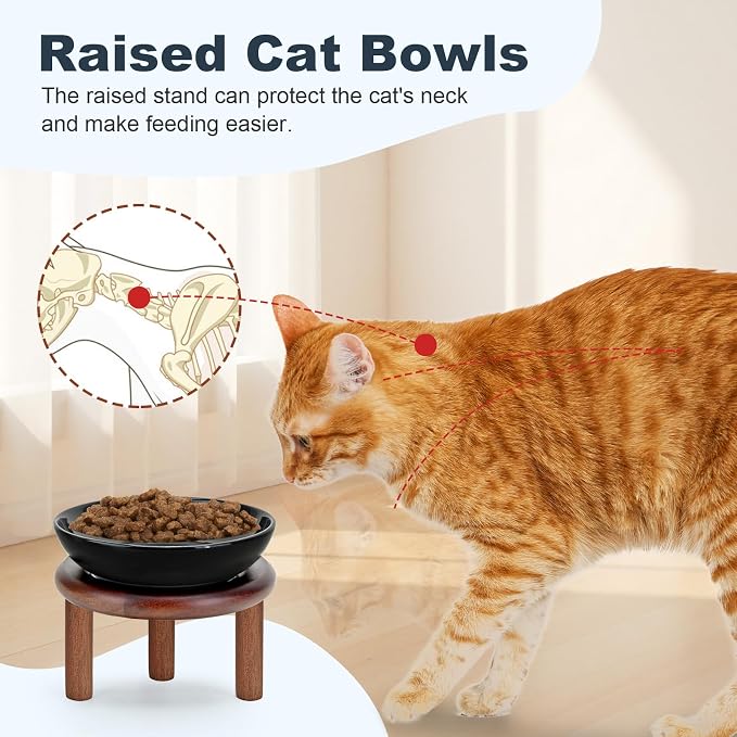 SPUNKYJUNKY Extra Wide Elevated Ceramic Cat Bowl with Acacia Wood Stand Whisker Friendly (Cat Paw Pattern, 2 Pack, Black) - Image 3