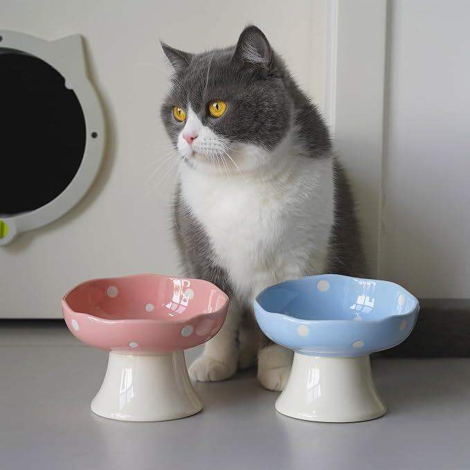 Pink Mushroom Cat Bowl, Elevated Ceramic Feeding Bowl | Elevated, Ceramic, Tilted Design, Whisker-Friendly, Dishwasher Safe, cute - Image 9