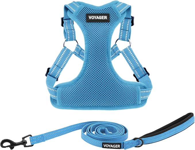 Best Pet Supplies Voyager Adjustable Step-in Flex Breathable Mesh Dog Harness for Small Medium Large Dogs Leash Set (Baby Blue), XL by BestPetSuppliesLLC