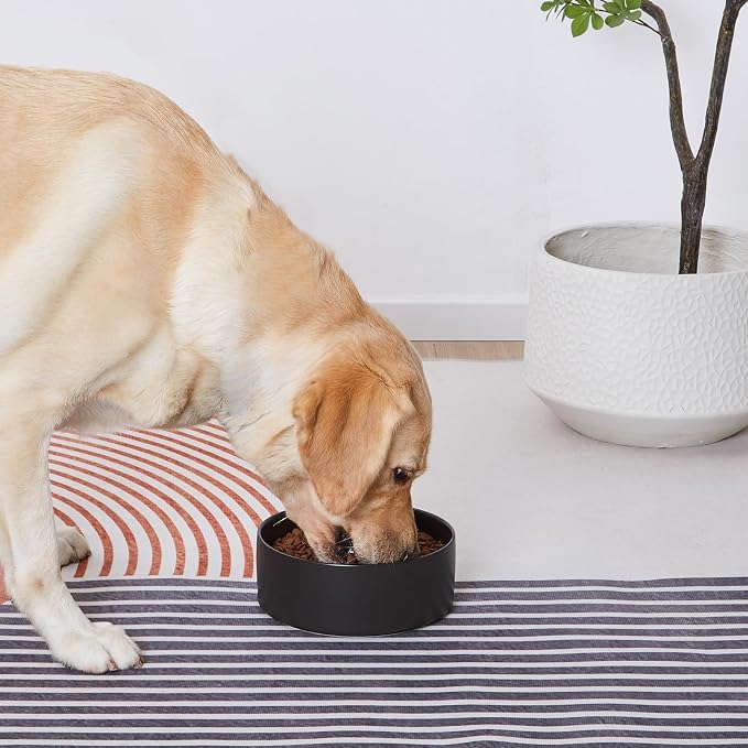 Ceramic Set of 2 Dog Bowls - Classic Dogs Food & Water Bowl for Small and Medium Breed, Heavy-Duty Non-Slip Dog Dishes, Food Grade Pet Bowl, Dishwasher & Microwave Safe (6'', 2*30OZ, Black) - Image 5