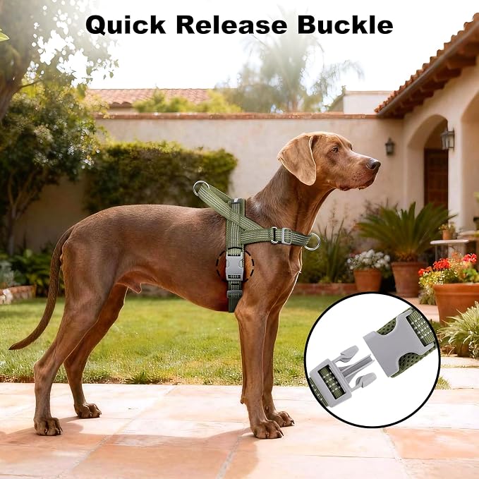 No Pull Dog Harness with Handle, Adjustable Soft Mesh Padded Vest | Reflective Walking Harness with Front Clip for Small Medium Large Dogs, Quick Fit No Escape for Training, Ranger Green, M - Image 6