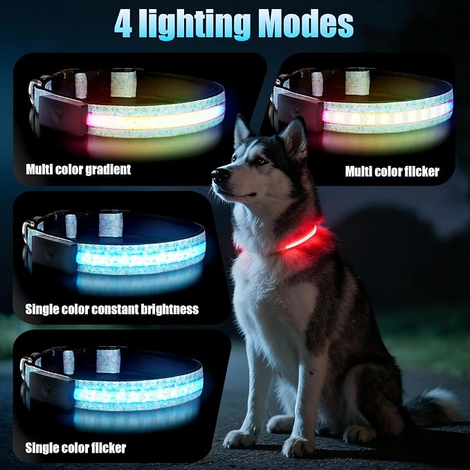 LED Dog Collar Rechargeable, Brightest Light Up Dog Collars, Daisy M | 1,600 Feet of High Visibility, Magnetic Charging, Glow in Dark Dog, Nylon Materials, Lights for Night Walking - Image 3