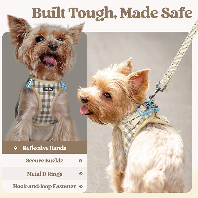 rabbitgoo Dog Harness Small Sized and Leash Set, Step-in Puppy Pet Vest | Light, Soft, Breathable Air Mesh, Easy on and Remove with Hook & Loop, Secure Reflective for Walking, Beige Check M - Image 5