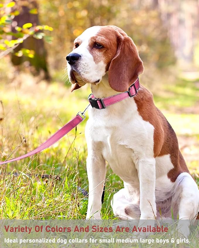 Reflective Dog Collar, Puppy Collar with Buckle Adjustable, Light Pink XL | Breathable Nylon Collars for Small Medium Large Dogs, No Chafing on Walks and Outdoor Hikes, Metal D-Ring, Night Safety - Image 6