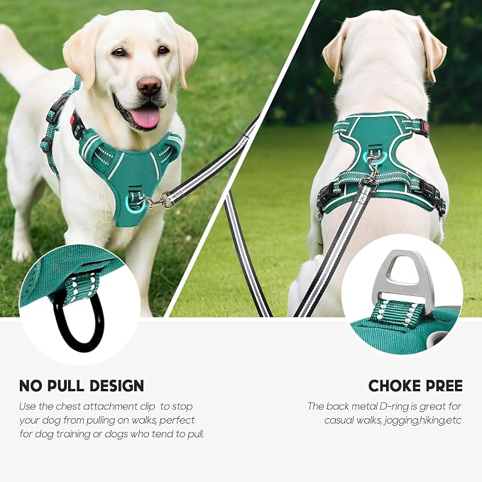 Timos Small Dog Harness, No Pull No Choke, Easy On & Off, Grass Green, S | Adjustable Reflective Soft Padded, Neck Quick Release with 3 Buckles, Front & Back 2 Clips and Handle for Walking Training - Image 5