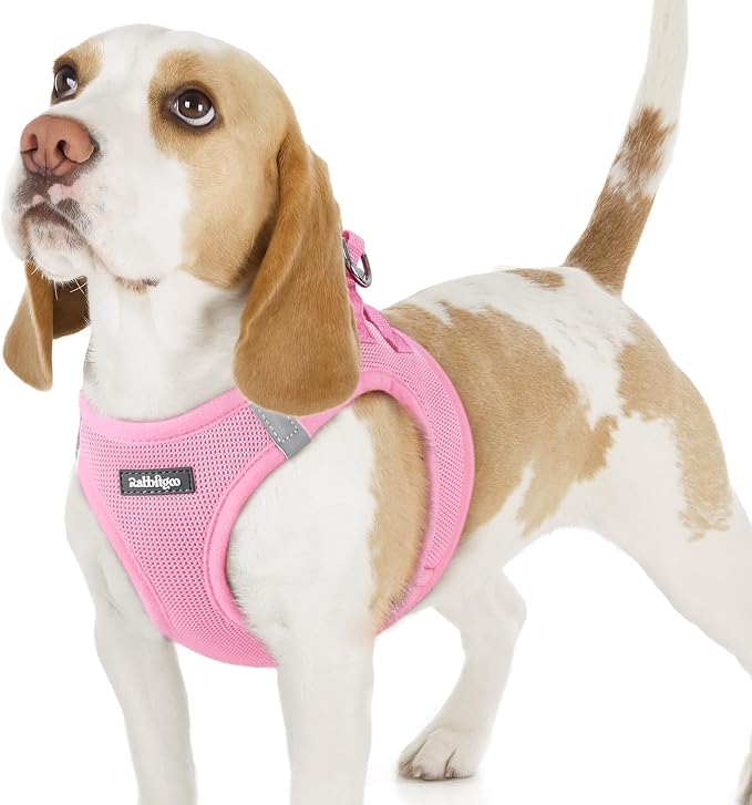 rabbitgoo Step-in Small Dog Harness, Puppy Vest for Small Sized Pet | Easy Put on and off, Lightweight, Soft, Breathable Quick-Dry Air Mesh for Comfortable Secure Walking, Light Pink M by rabbitgoo