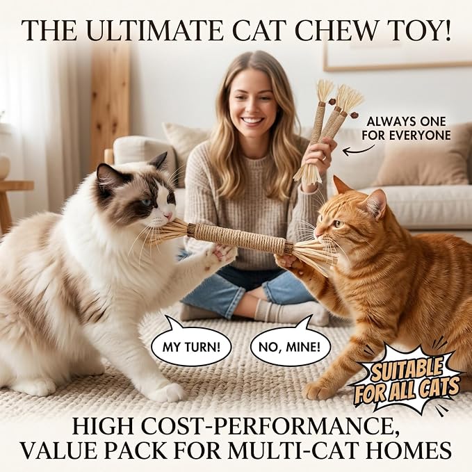 3 Pack Silvervine Cat Chew Sticks - Natural Kitten Toy for Cats - Image 6