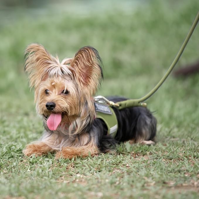 5FT Dog Leash 5/16 inch Puppy Cat Rope Lead | Misty Green, with Anti-tangle Swivel Clip, Comfortable Non-slip Grip Handle, Ideal for Daily Walks, for Small Medium Dogs - Image 9
