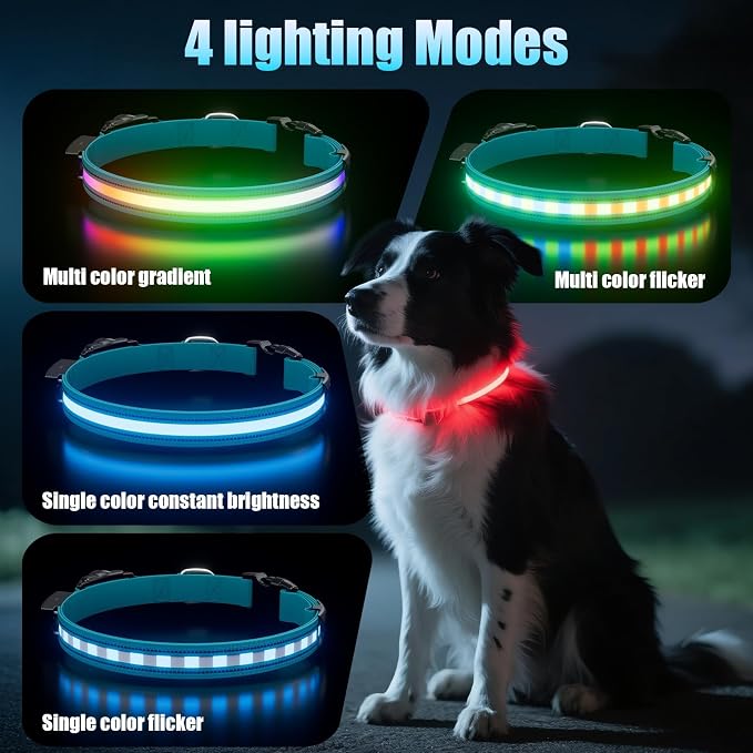 LED AirTag Dog Collar - Brightest Light Up Dog Collars, Blue L | IP68 Waterproof Air Tag Dog Collar Holder, 1,600 Feet of High Visibility, Magnetic Charging, Dog Lights for Night Walking - Image 3