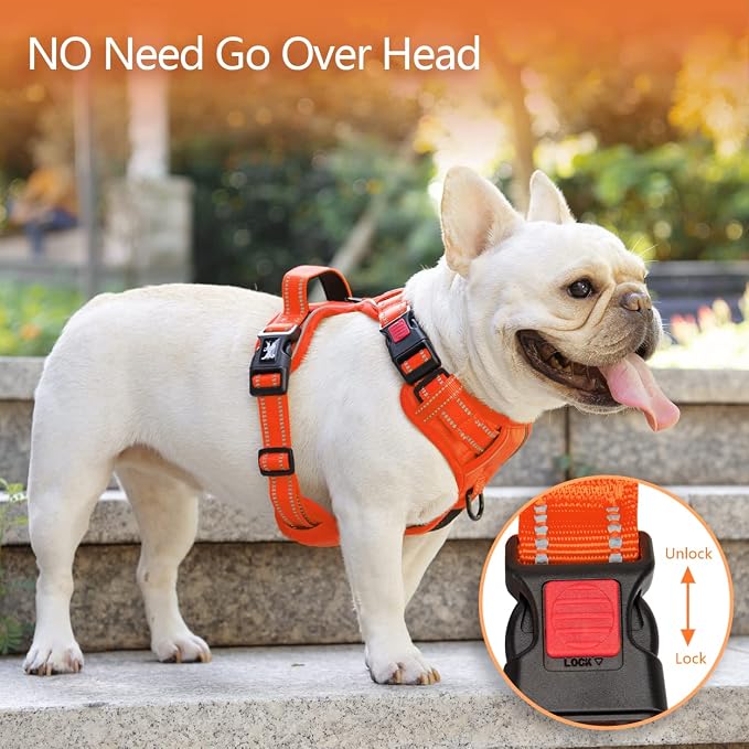 PoyPet No Pull Dog Harness, Reflective Vest with 2 Leash Clips & Handle | Lockable Neck Release Buckle, No Choke, Adjustable, Soft Padded, for Walking Training, Orange Matching Trim, Large - Image 2