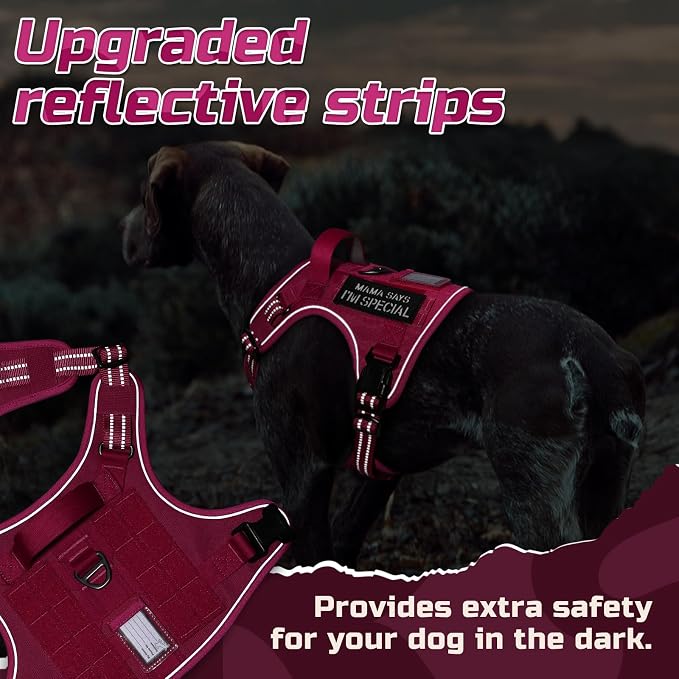 rabbitgoo Tactical Dog Harness for X-Large, No Pull Military Service Vest | Molle & Handle, Heavy Duty, Adjustable, Reflective Straps, Easy Control for Training Walking, Rose Red, X-Large - Image 4