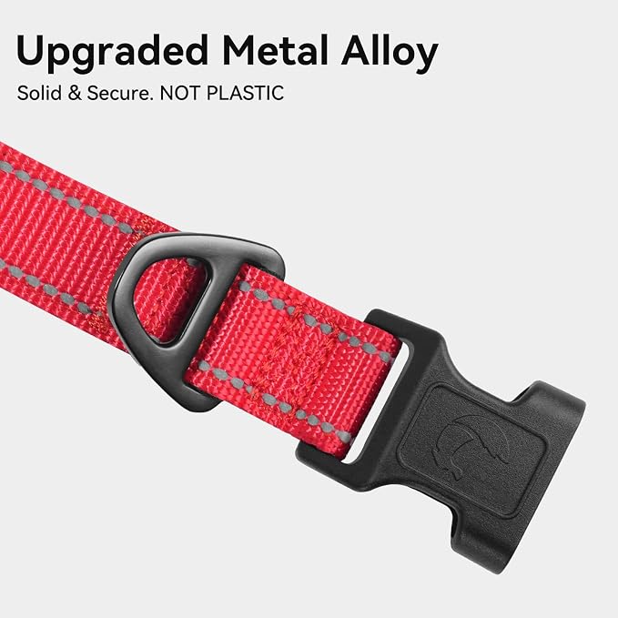 Joytale Reflective Dog Collar, Adjustable Neoprene Padded, Red M | Breathable Nylon for Medium Dogs, No Chafing on Walks and Backyard Play, All-Day Comfort, Metal D-Ring, Night Safety - Image 3
