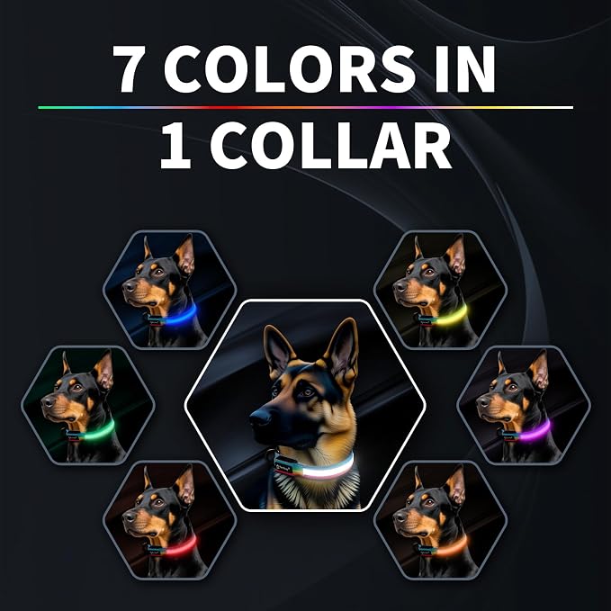PetIsay Premium LED Dog Collar for Night Walking, USB Rechargeable(Small) | 7 Color Modes, Bright LED Illumination, Waterproof Design, Adjustable Comfort for Night Safety - Image 3
