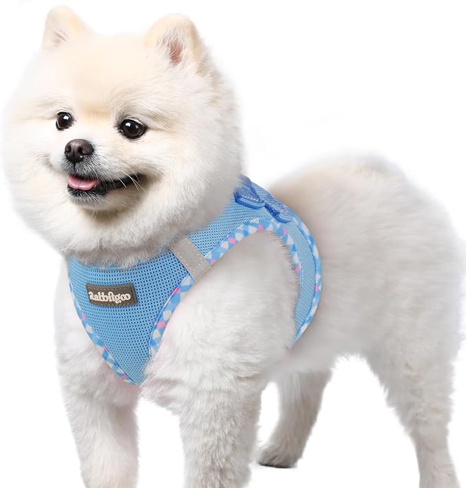 rabbitgoo Step-in Small Dog Harness, Puppy Vest for Small Sized Pet | Easy Put on and off, Lightweight, Soft, Breathable Quick-Dry Air Mesh for Comfortable Secure Walking, Blue & Plaid Trim S by rabbitgoo