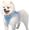 rabbitgoo Step-in Small Dog Harness, Puppy Vest for Small Sized Pet | Easy Put on and off, Lightweight, Soft, Breathable Quick-Dry Air Mesh for Comfortable Secure Walking, Blue & Plaid Trim S by rabbitgoo