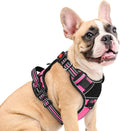 Eagloo Dog Harness No Pull for Medium Dogs, Easy On & Off with 3 Buckles | No Choke with Front Clip, Adjustable Fit, MOLLE System, Reflective Vest, Easy Control for Walking, Pink & Black, Medium by GoExplorewithEagloo