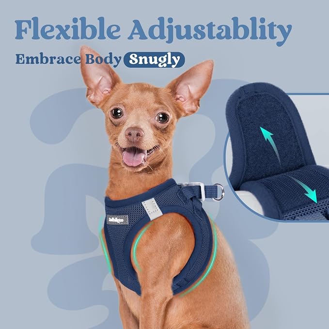 rabbitgoo Step-in Small Dog Harness, Puppy Vest for Small Medium Sized Pet | Easy Put on and off, Lightweight, Soft, Breathable Quick-Dry Air Mesh for Comfortable Secure Walking, Navy Blue XL - Image 7