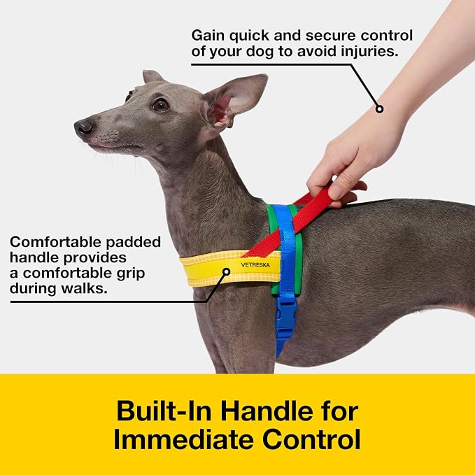 VETRESKA MoMA Dog Harness and Leash Set, Easy Walk Dog Harness (Yellow, L) | for Large Dogs, No Pull Puppy Harness for Walking and Training, Adjustable, Take Control & Anti-Twist Pet Lead Combo - Image 3