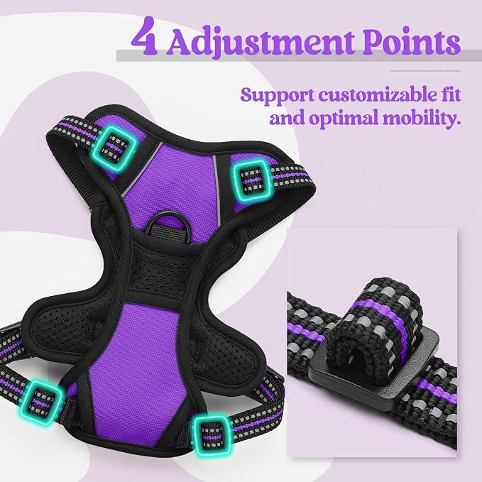 rabbitgoo Dog Harness No Pull with 2 Leash Clips, Adjustable Soft Padded, Reflective Oxford No Choke Pet Vest with Easy Control Handle for Puppy, Purple,XS | No Choke with Handle, Adjustable Soft Padded, Reflective, Easy Control for Walking, Purple, X-... - Image 4