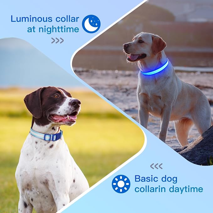 LED Light Up Dog Collar for Night Safety Walks, Blue, M | USB rechargeable, waterproof & pet-safe, 3 lighting modes, long-lasting glow, adjustable S/M/L, soft comfy daily walk fit - Image 5
