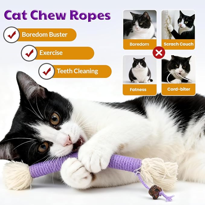 Kitten Toys, Cat Chew Toy for Teeth Cleaning, Catnip Rope Toys for Indoor Kittens, Interactive Cat Nip Teething Toys for Cats, Kitty Kicker Toy, 6 Pack (Plus 3 Pouches of Catnip) - Image 3