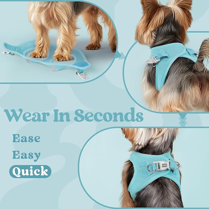 rabbitgoo Step-in Small Dog Harness, Puppy Vest for Small Sized Pet | Easy Put on and off, Lightweight, Soft, Breathable Quick-Dry Air Mesh for Comfortable Secure Walking, Mint Blue S - Image 6
