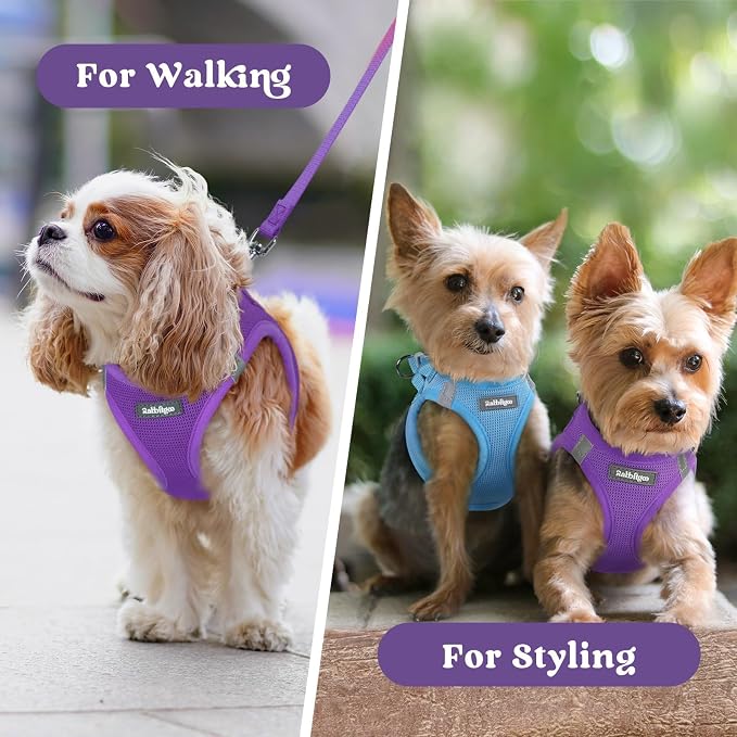 rabbitgoo Step-in Small Dog Harness, Puppy Vest for Small Sized Pet | Easy Put on and off, Lightweight, Soft, Breathable Quick-Dry Air Mesh for Comfortable Secure Walking, Purple XXXS - Image 9
