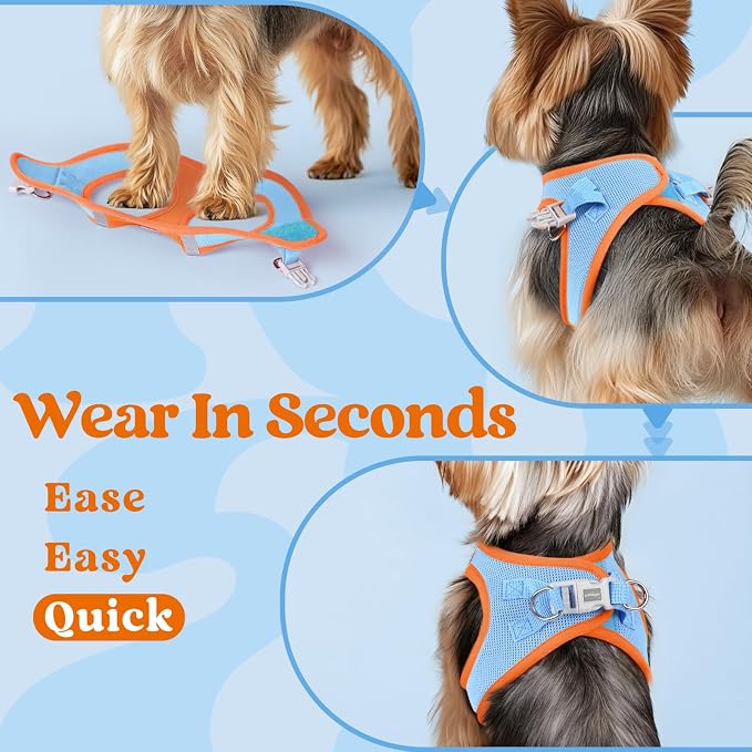 rabbitgoo Step-in Small Dog Harness, Puppy Vest for Small Sized Pet | Easy Put on and off, Lightweight, Soft, Breathable Quick-Dry Air Mesh for Comfortable Secure Walking, Blue & Orange M - Image 6