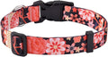 Mihqy Dog Collar for Large Dogs, Floral Design, Floral Red Flower A,L | Neck Fit 14.9"-24.8", Multiple Patterns，4 Sizes for Small Medium Large Dogs, Comfortable for Walks and Outdoor Hikes by Mihqy