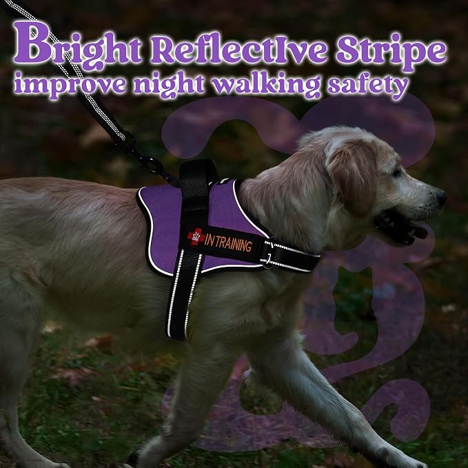 rabbitgoo No Pull No Choke Pet Vest, Adjustable Pet Harness with Molle | Medium Sized Dog Harness, Reflective, Easy Wearing with One Buckle for Walking, Training, Purple, M - Image 9