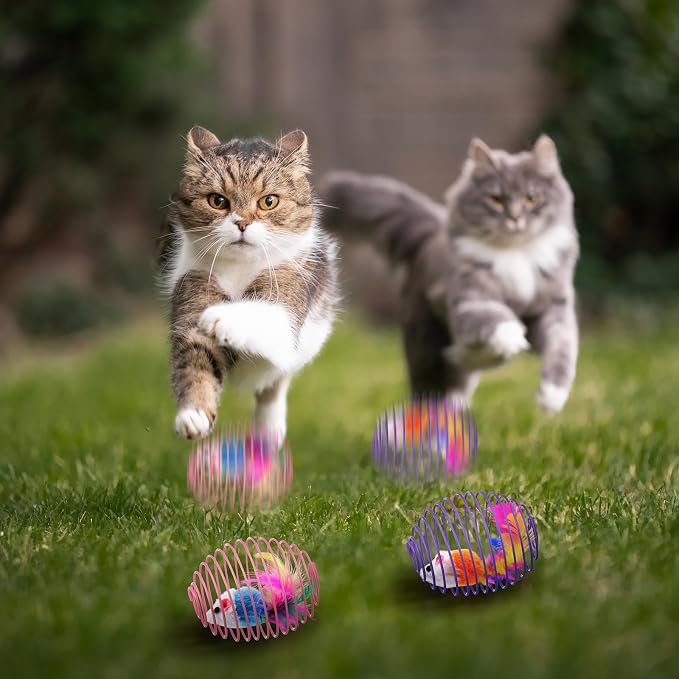 Jecery 25 Pcs Cat Toys Spring,Mouse and Bell,Colorful | Interactive Metal Cat Toy, Stretchable Rolling Ball, for Indoor Cats, Colorful Playful Coils, Kitten Pet Supplies - Image 6